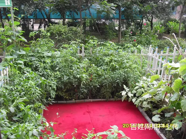 富海铭尊2室1厅 一楼带自家小花园 - 图片 8