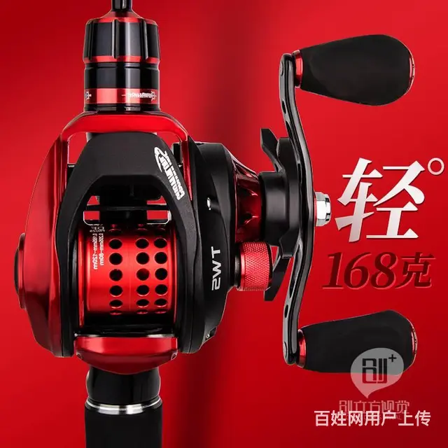 威海海带拍摄/海产品拍照/海参摄影/淘宝拼多多美工 - 图片 7