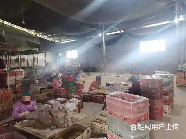 广汉市南丰镇1000㎡厂房+场地（约12亩）、鱼塘（约4亩） - 图片 8
