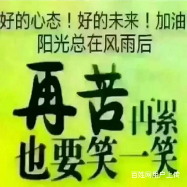 卖小母羊 - 图片
