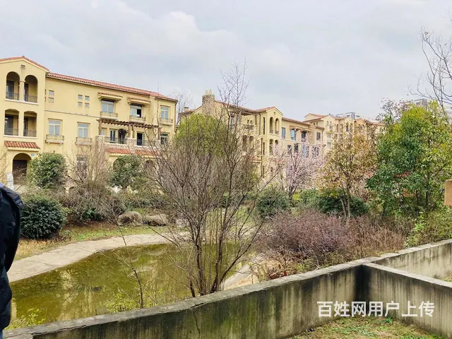 香格里拉3楼精装88平米出租1500元/月 - 图片 10