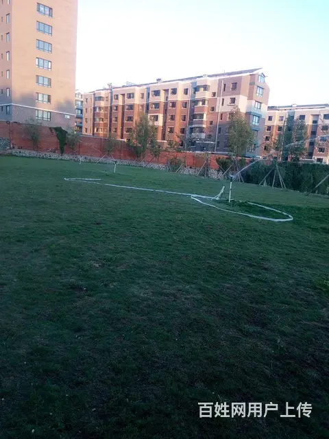 抚顺免修剪草坪花卉果树基地 - 图片 1
