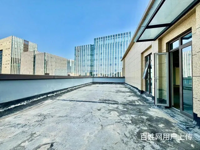 怡心湖 独栋出售 价格好谈 带车库 超小公摊 户型方正 - 图片 4
