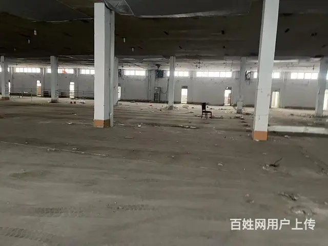 淄川区罗村镇厂房出租 - 图片 8