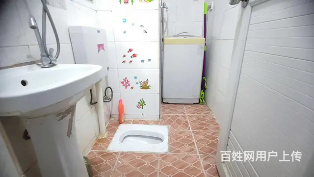 思北 兴鸿广场 正规一房多套可选 高层采光好  轮渡第一码头 - 图片 3
