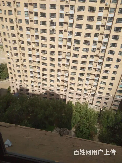 农大木材街附近睿城高层合租干净卫生交通方便环境好 - 图片 5