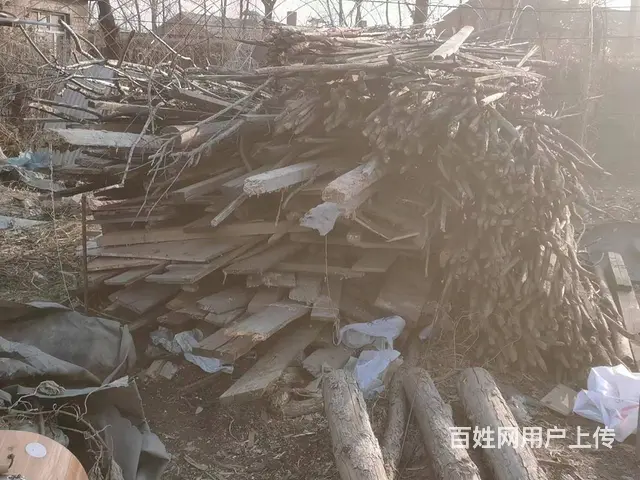 烧火木头 - 图片