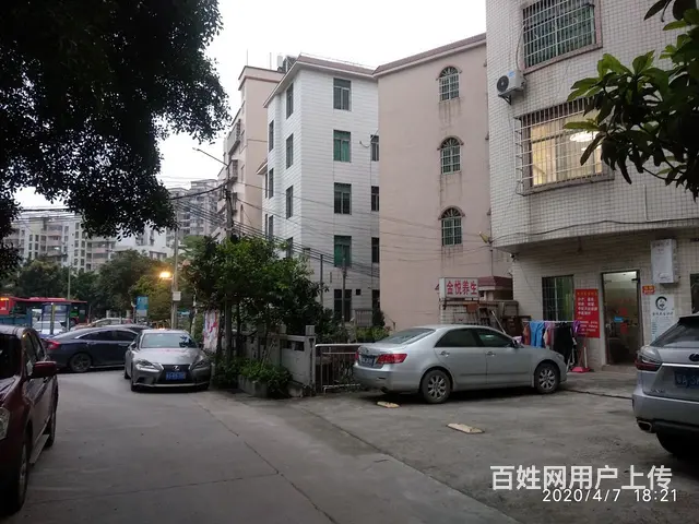 地铁大沙地街边家私全2房_屋主平租 - 图片 4
