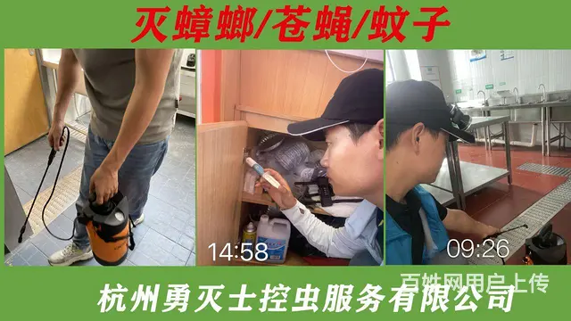 上门除虫灭鼠灭蟑螂灭白蚁抓老鼠 - 图片 2