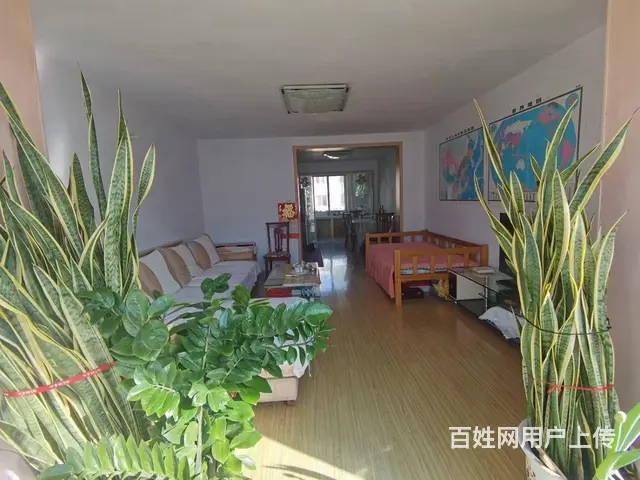 北大街东都家园，4楼，通厅格局，长青路 - 图片 7