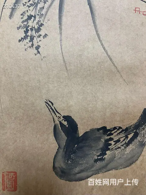 八大 精品册页 画心33.5✖️22cm✖️6开 - 图片 6