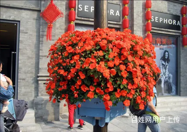 沈阳灯杆景观种植花盆圆顶柱子抱盆立体绿化容器厂家 - 图片 7