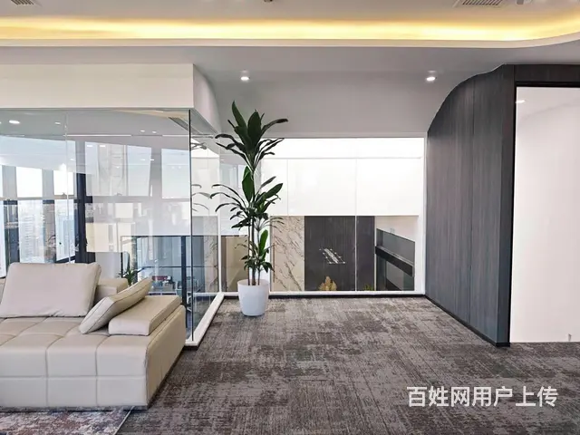 星耀城智慧之门 双地铁口 豪装全景落地窗 上市公司云集 - 图片 11