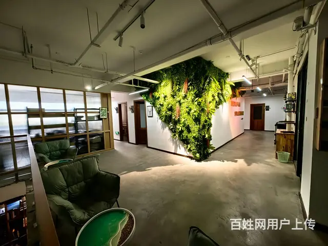 二楼招租 租金低 适合办公培训 棋牌会所 随时可看 - 图片 1