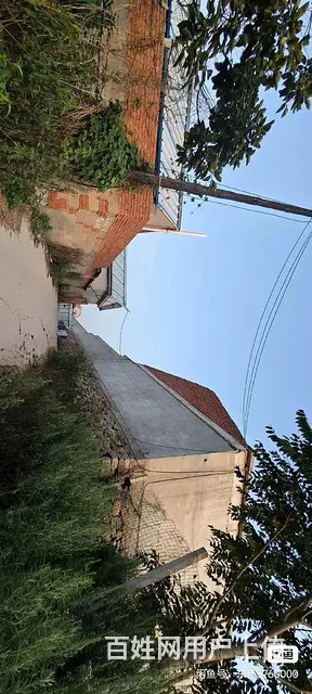 转让承包地，租赁也可以，温泉镇 - 图片 9