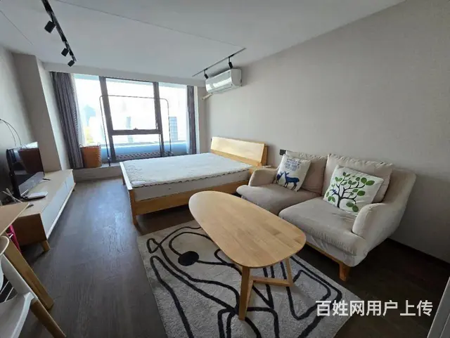 中赢云际精装一室近凯蓝 当虹 浙二 上峰 浙农 游卡滨江基地 - 图片 1