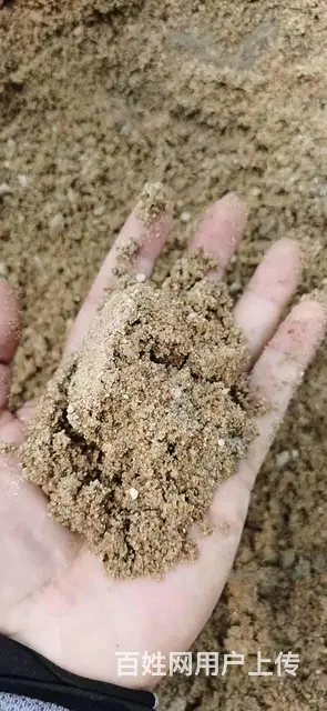 码头直销批发零售 - 图片 1