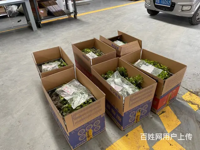 国内空运航空快递高铁快运 快6小时到达 - 图片 1