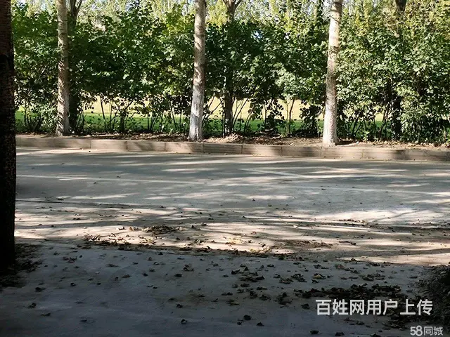 香坊区电碳路与军民街交口库房出租 - 图片 4
