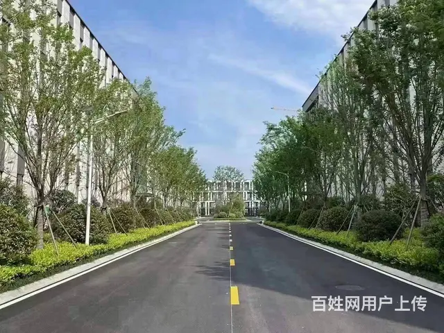 双流国企园区，50年产权可分割 首付3成 靠近地铁 赠送花园 - 图片 5