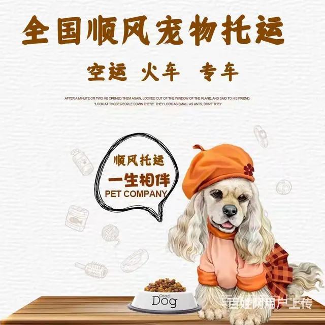 2022伊川县宠物托运（猫狗）邮寄快递（宠物活体运输新*闻） - 图片 4