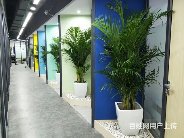 当天下证！精装带全套家具！五一商圈！用心企业！高质量的服务 - 图片 7