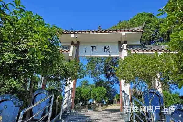 二手集装箱，海运集装箱出售，全部批发价出售 - 图片 2