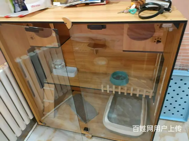 香坊安埠街宠物店 宠物美容店铺转让 - 图片 5