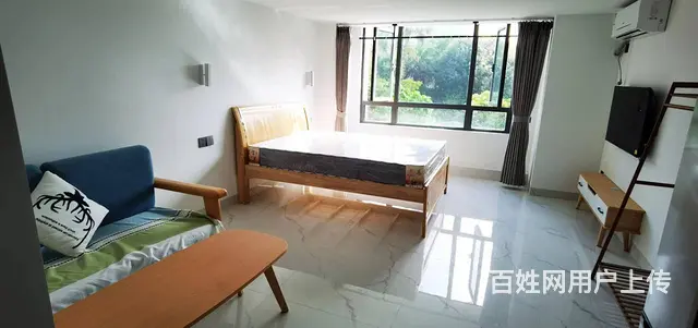 地铁口 双十科技    房东个人朝南好房源 - 图片 9