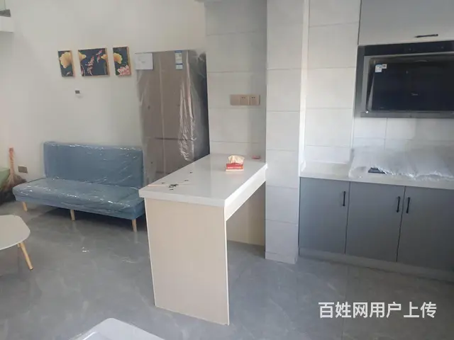 湖塘吾悦广场 新房直签 现房带天然气复式 民用水电带独立阳台 - 图片 2