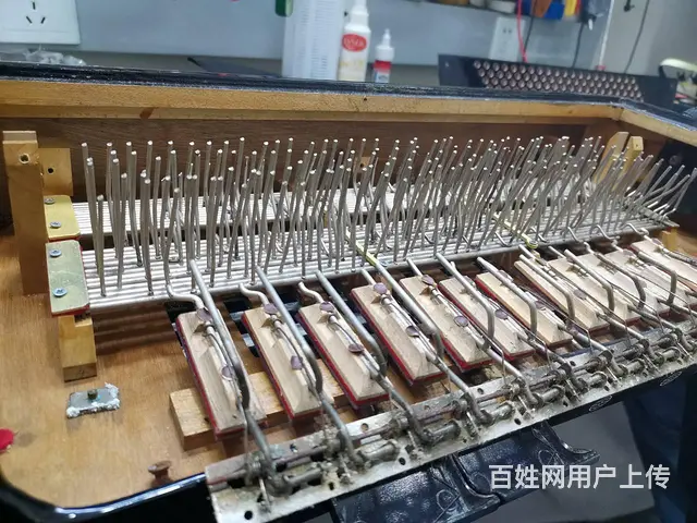 广州专业手风琴维修，鹦鹉百乐金杯手风琴维修 - 图片 5