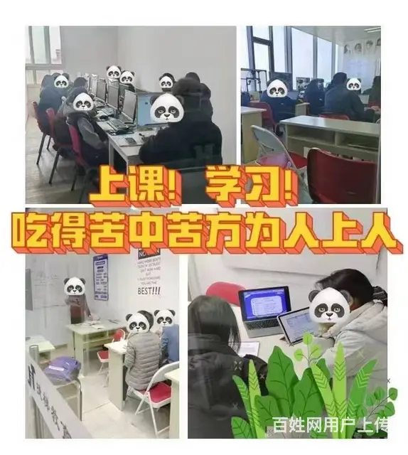 嘉兴零基础学电脑办公 - 图片