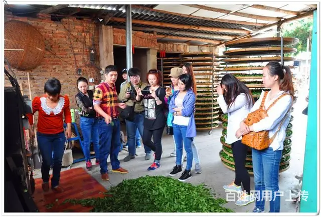 全国正规茶艺师学校 - 图片 2