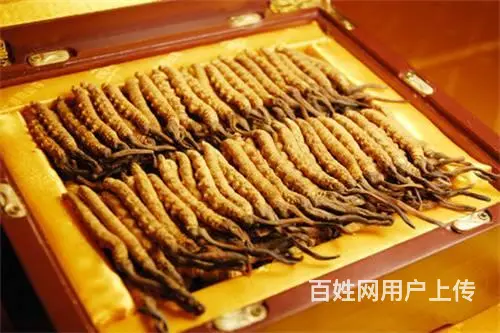 白云冬虫夏草回收价钱是多少 - 图片 8