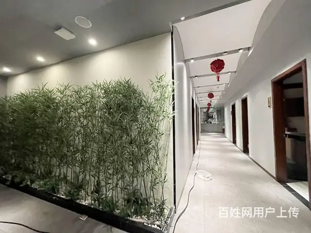 （51旺铺推荐）凤凰路2000平铺面出租（凤凰路湿地公园酒 - 图片 9