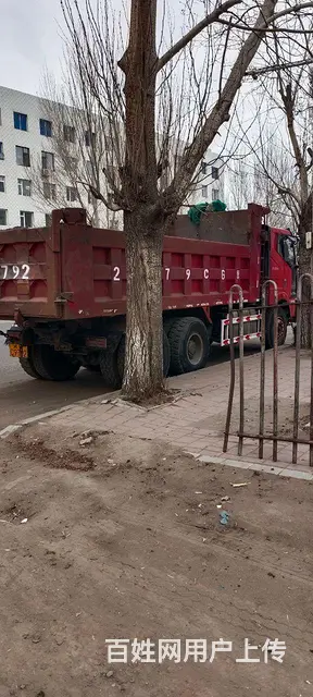 黄金尺寸6米 - 图片 4