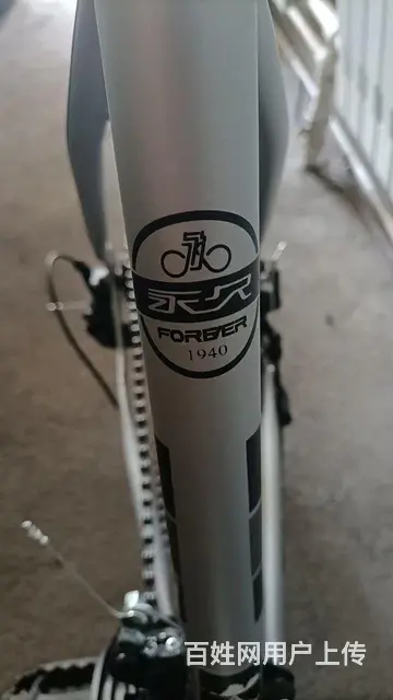 永久牌公路自行车 - 图片 2