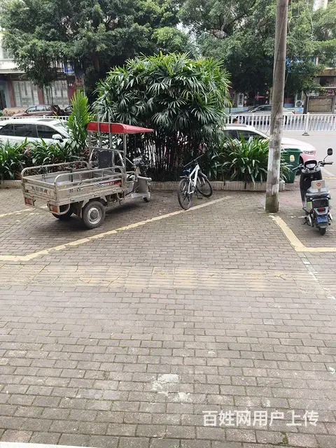 有收据 - 图片
