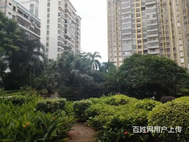 出售金鹿花园3房电梯房 - 图片 12