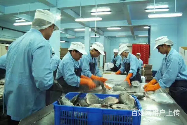 澳大利亚一新西兰一加拿大一月薪3万一保签 - 图片 4