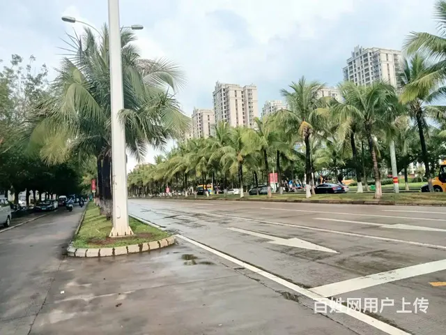 （51旺铺推荐）椰海家园62平旺铺招租 - 图片 6
