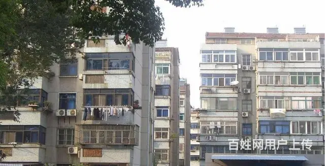 红梅东村(天宁) 普通住宅1厅 中等装修 - 图片 2