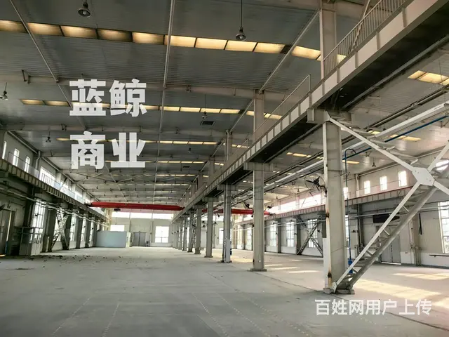 厂房3000到10000平出租 - 图片 6