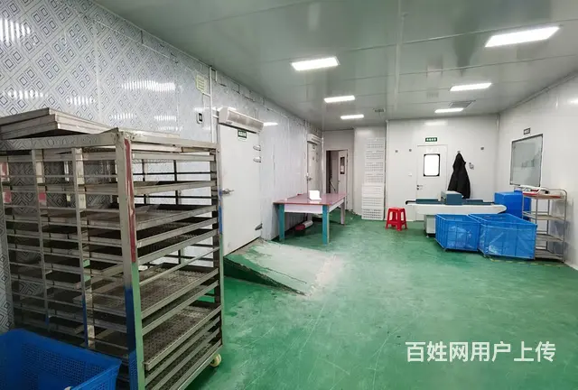 PZJ30993包子馒头加工工厂转让，设备齐全，欢迎前来考察 - 图片 7