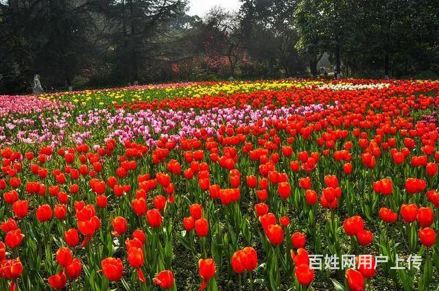 河南房建市政二资质代办转让，河南消防一资质代办转让 - 图片 2