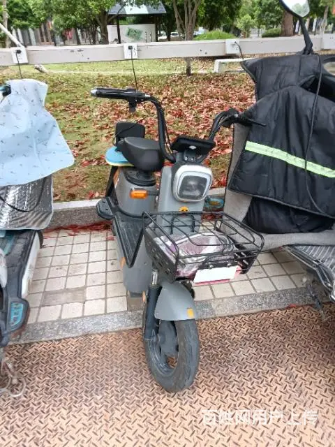 转让绿佳新国标电动车 - 图片 2
