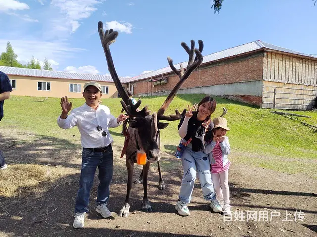 呼伦贝尔新巴尔虎左旗草原旅游包车师傅排名常师傅靠谱 - 图片 1