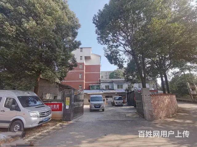 岳麓区两大高校旁临主路1500平厂房，门面，商业独栋优价出租 - 图片 8