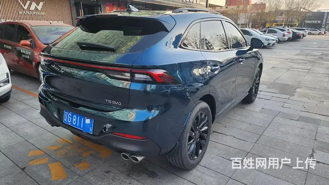 东风风行 - 图片 3