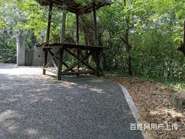高价回收老油，餐饮废油 - 图片